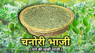 chanori bhaji recipe 😱 ll chanori bhaji ll चानोरी भाजी ll छत्तीसगढ़ी चानोरी भाजी सब्जी ll cg recipe