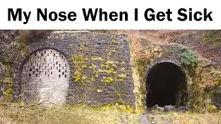 Memes of Your Life 1
