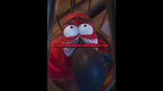 Попугай скучает по своему дому..#film #shorts