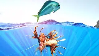 EPIC Mahi Catch | Hunting  Lion Fish!