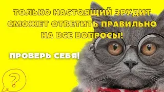 Тест на История Древнего Египта