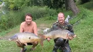 Ловля карпа в пруду, ловля на фидер, рыбалка на карпа
