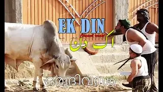 Khaternak Qurbani K Janwar | Eid Al Adha 2022 | #recast
