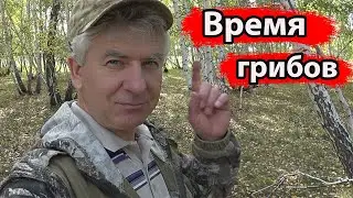 Время собирать грибы.