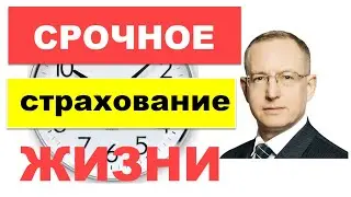 Срочное страхование жизни – обзор. Как работает страховка жизни на срок. Плюсы, минусы и цена полиса