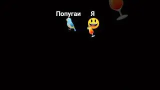 попугаи отобрал пиво у бати🤣