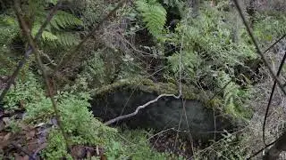 Ecossítio - Lamaceiros
