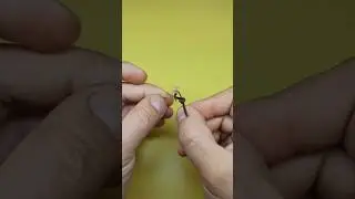 Самый правильный бутерброд для ловли всей мирной рыбы, Леща, Карася, Плотвы.