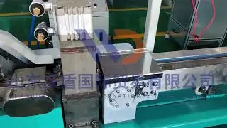 Plastic Machinery Magnetic Strip Equipment