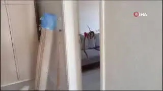Evdeki Yılan İtfaiye Ekiplerince Çıkartıldı