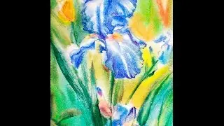 Как рисовать акварелью цветок ириса. Урок 50