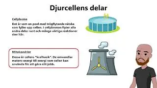 BIOLOGI: Djurcellen