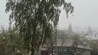 майский снег