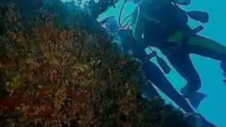 Dive Africa - Kuredo