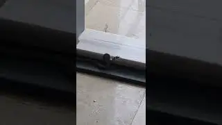 Binaya girmiş 🤔