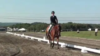 Gillian Warner & Judge Puttnam Millbrook Horse Trials August 2016