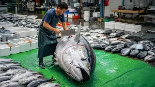 Ultimate Otoro Cut from a GIANT Bluefin Tuna – Pure Sushi Gold!