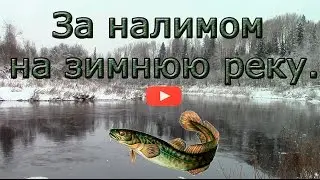 Catching burbot in late autumn. (The most detailed description of fishing !!!)