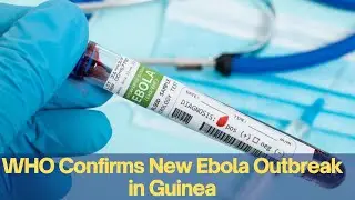 WHO Confirms New Ebola Outbreak in Guinea