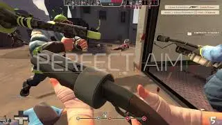 TF2 Cheating (ft. PerfectAim.io)