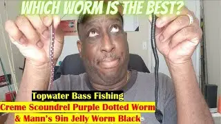 Bass Fishing Plastic Worms | how to catch bass with plastic worms | Black worm  Purple/White Dotted