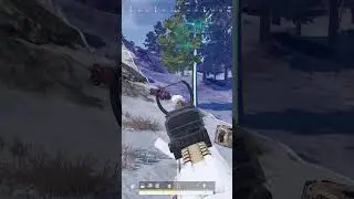 PUBG медведь в клане SOUL 