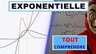 ETUDE DES VARIATIONS D'UNE FAMILLE DE FONCTION EXPONENTIELLE - TYPE BAC