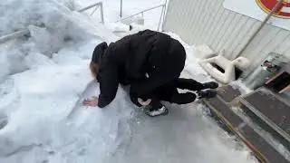 спаривание обезьяны и осла😱