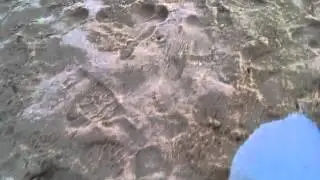 VID 20121110 00001