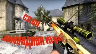 Командная игра в CS:GO