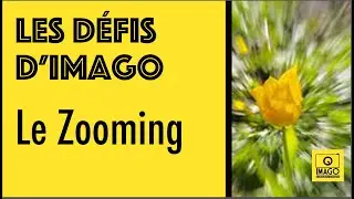 LES DÉFIS D'IMAGO : LE ZOOMING