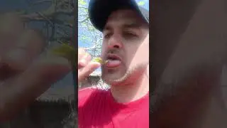 инджир листя лечит коженны забаливания