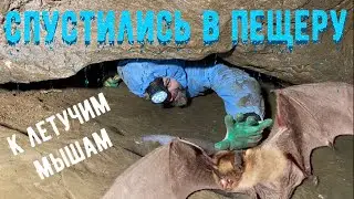 Спустились в пещеру к летучим мышам. Барсуковская пещера