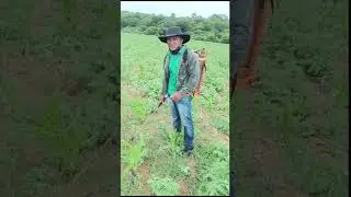 lembrando que pra bater menino no milho tem q tá com todos IPI 😷🤠😎🥼🥾
