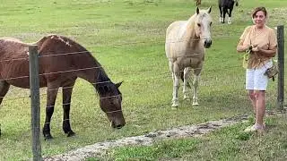Christine makes horse friends at The Villages Florida