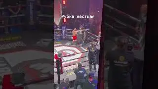 леко vs хамзат