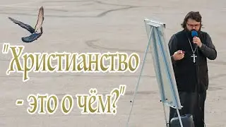 «Христианство - это о чём?» | Иеромонах Андроник (Пантак)