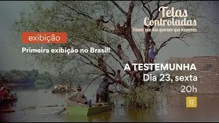 Telas Controladas: filmes que não queriam que víssemos