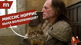 ⚡️ ТОП 10 фанатских теорий Гарри Поттера ⚡️