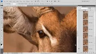 091119 - JPEG Quality.mp4