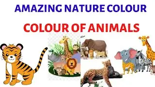 Nature animals|| Amazing Nature Animals Colours|| Primary Art Lesson