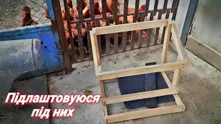 Хаос в курнику, Купили кукурудзи, Саджанці вже приїхали!