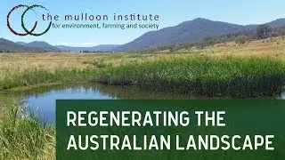 The Mulloon Institute Landscape Regeneration