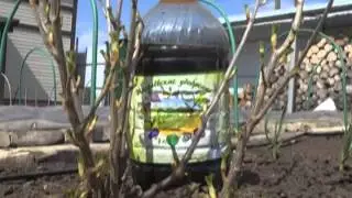 Дачные советы 24.04.2014