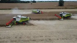 3x Claas Lexion 770