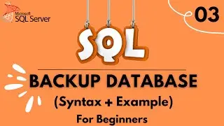 How to Backup Database | SQL Tutorial for Beginners | 2024