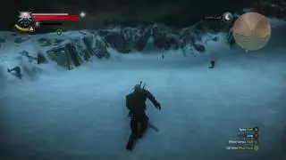 The Witcher 3; Rad Steez, Bro! Achievement Guide