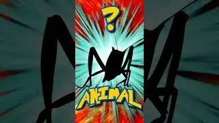 Who's That ANIMAL?! (ep. 30) 