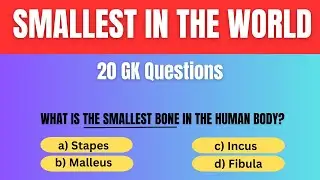 World's Smallest Things Quiz: 🧠 How Good is Your General Knowledge?