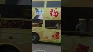 城巴:170( 沙田) 免年巴士